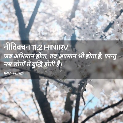 Picture 02 - नीतिवचन 11:2 HINIRV - जब अभिमान होता, तब - Bible Verse Picture