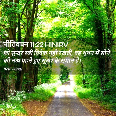 Picture 02 - नीतिवचन 11:22 HINIRV - जो सुन्दर स्त्री - Bible Verse Picture