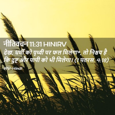 Picture 02 - नीतिवचन 11:31 HINIRV - देख, धर्मी को - Bible Verse Picture