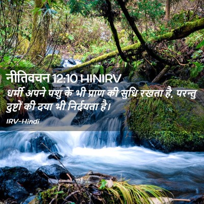 Picture 02 - नीतिवचन 12:10 HINIRV - धर्मी अपने पशु के - Bible Verse Picture