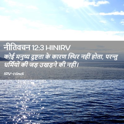 Picture 02 - नीतिवचन 12:3 HINIRV - कोई मनुष्य - Bible Verse Picture
