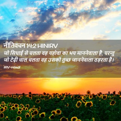 Picture 02 - नीतिवचन 14:2 HINIRV - जो सिधाई से चलता वह - Bible Verse Picture