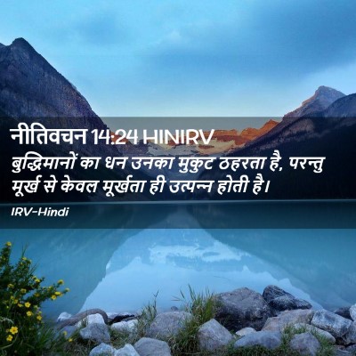 Picture 02 - नीतिवचन 14:24 HINIRV - बुद्धिमानों का धन - Bible Verse Picture