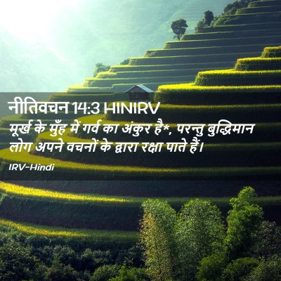 Picture 02 - नीतिवचन 14:3 HINIRV - मूर्ख के मुँह में - Bible Verse Picture
