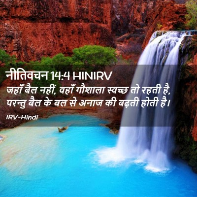 Picture 02 - नीतिवचन 14:4 HINIRV - जहाँ बैल नहीं, वहाँ - Bible Verse Picture