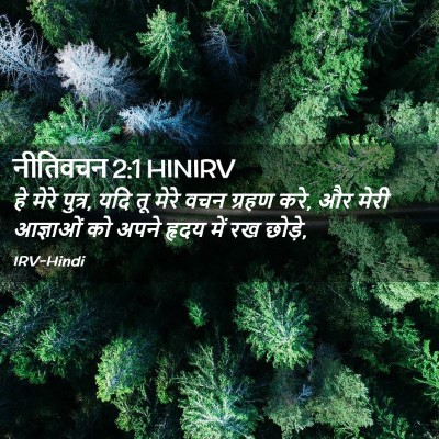 Picture 02 - नीतिवचन 2:1 HINIRV - हे मेरे पुत्र, यदि - Bible Verse Picture