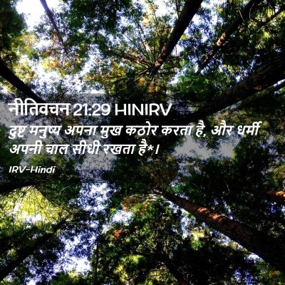 Picture 02 - नीतिवचन 21:29 HINIRV - दुष्ट मनुष्य अपना - Bible Verse Picture