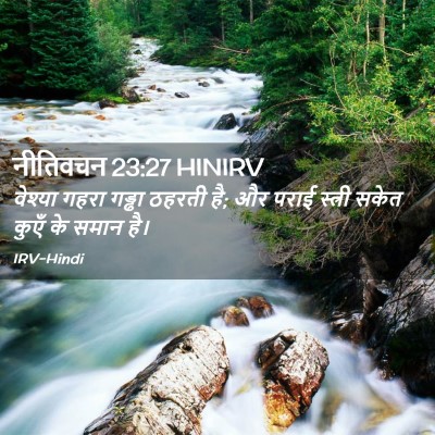Picture 02 - नीतिवचन 23:27 HINIRV - वेश्या गहरा गड्ढा - Bible Verse Picture