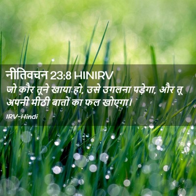 Picture 02 - नीतिवचन 23:8 HINIRV - जो कौर तूने खाया - Bible Verse Picture