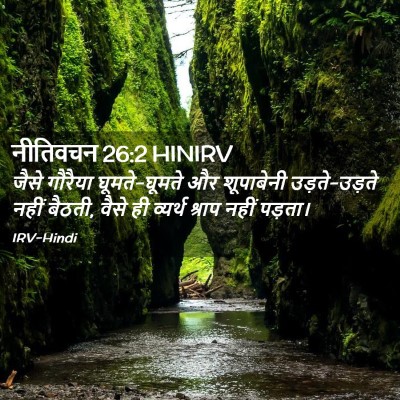 Picture 02 - नीतिवचन 26:2 HINIRV - जैसे गौरैया - Bible Verse Picture