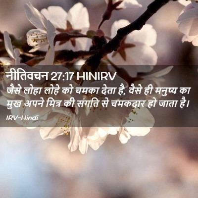 Picture 02 - नीतिवचन 27:17 HINIRV - जैसे लोहा लोहे को - Bible Verse Picture