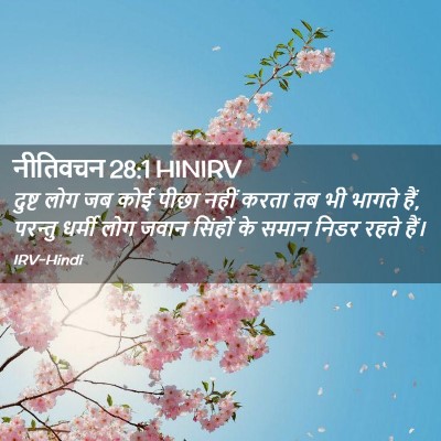 Picture 02 - नीतिवचन 28:1 HINIRV - दुष्ट लोग जब कोई - Bible Verse Picture