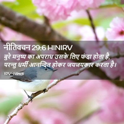Picture 02 - नीतिवचन 29:6 HINIRV - बुरे मनुष्य का - Bible Verse Picture