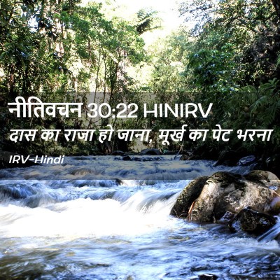 Picture 02 - नीतिवचन 30:22 HINIRV - दास का राजा हो - Bible Verse Picture