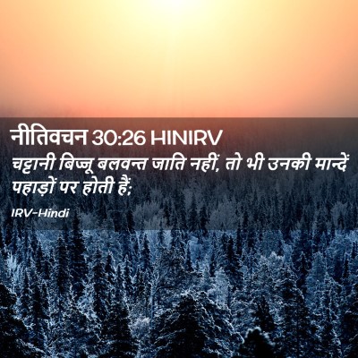 Picture 02 - नीतिवचन 30:26 HINIRV - चट्टानी बिज्जू - Bible Verse Picture