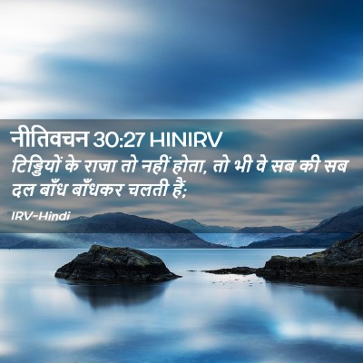 Picture 02 - नीतिवचन 30:27 HINIRV - टिड्डियों के राजा - Bible Verse Picture