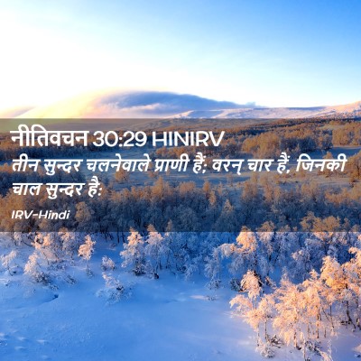 Picture 02 - नीतिवचन 30:29 HINIRV - तीन सुन्दर - Bible Verse Picture