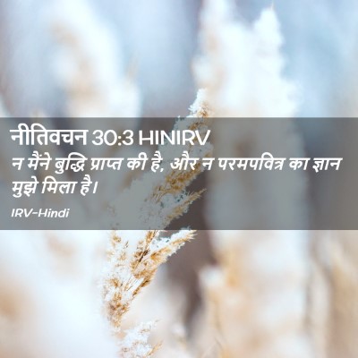 Picture 02 - नीतिवचन 30:3 HINIRV - न मैंने बुद्धि - Bible Verse Picture