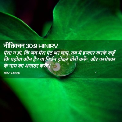 Picture 02 - नीतिवचन 30:9 HINIRV - ऐसा न हो, कि जब मेरा - Bible Verse Picture