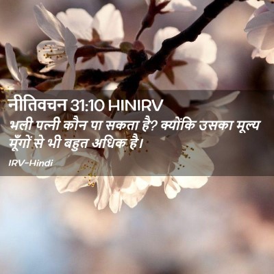 Picture 02 - नीतिवचन 31:10 HINIRV - भली पत्‍नी कौन पा - Bible Verse Picture