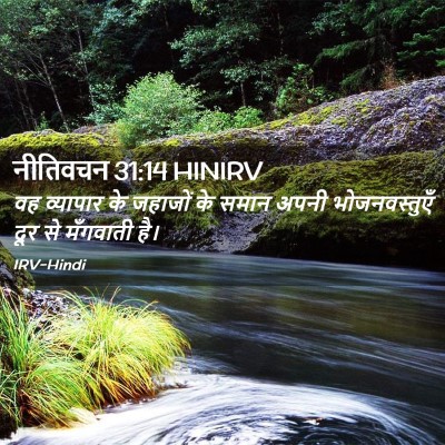 Picture 02 - नीतिवचन 31:14 HINIRV - वह व्यापार के - Bible Verse Picture