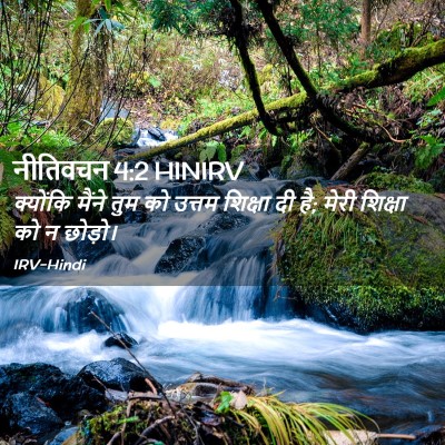 Picture 02 - नीतिवचन 4:2 HINIRV - क्योंकि मैंने तुम - Bible Verse Picture