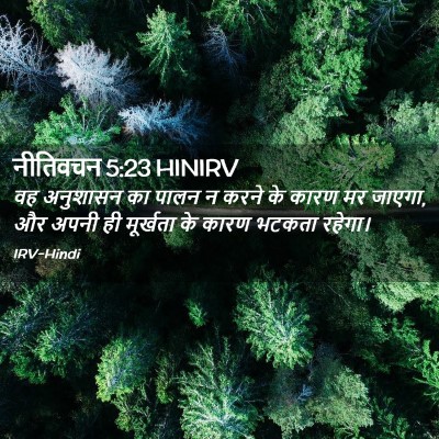 Picture 02 - नीतिवचन 5:23 HINIRV - वह अनुशासन का पालन - Bible Verse Picture