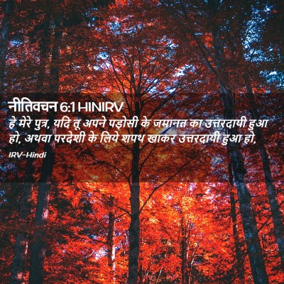Picture 02 - नीतिवचन 6:1 HINIRV - हे मेरे पुत्र, यदि - Bible Verse Picture