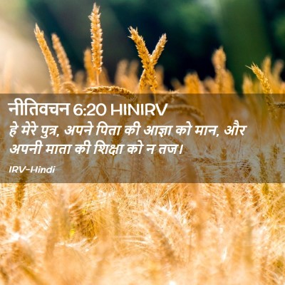 Picture 02 - नीतिवचन 6:20 HINIRV - हे मेरे पुत्र, अपने - Bible Verse Picture