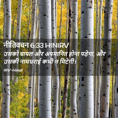 Picture 02 - नीतिवचन 6:33 HINIRV - उसको घायल और - Bible Verse Picture
