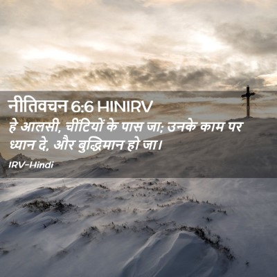 Picture 02 - नीतिवचन 6:6 HINIRV - हे आलसी, चींटियों - Bible Verse Picture