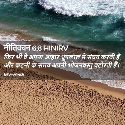 Picture 02 - नीतिवचन 6:8 HINIRV - फिर भी वे अपना आहार - Bible Verse Picture