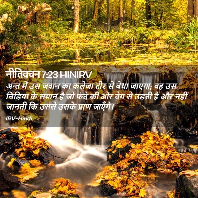 Picture 02 - नीतिवचन 7:23 HINIRV - अन्त में उस जवान का - Bible Verse Picture
