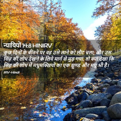 Picture 02 - न्यायियों 14:8 HINIRV - कुछ दिनों के बीतने - Bible Verse Picture