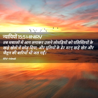 Picture 02 - न्यायियों 15:5 HINIRV - तब मशालों में आग - Bible Verse Picture