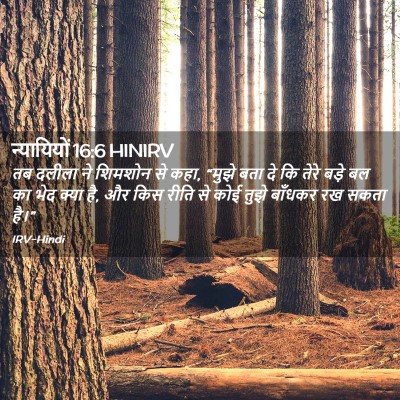 Picture 02 - न्यायियों 16:6 HINIRV - तब दलीला ने शिमशोन - Bible Verse Picture
