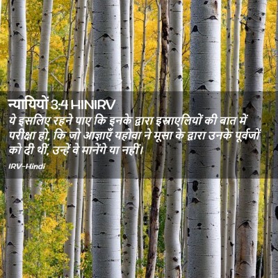 Picture 02 - न्यायियों 3:4 HINIRV - ये इसलिए रहने पाए - Bible Verse Picture