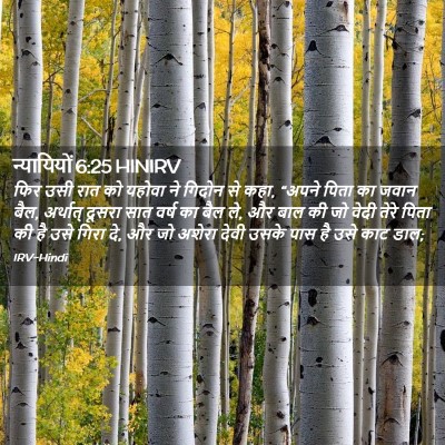 Picture 02 - न्यायियों 6:25 HINIRV - फिर उसी रात को - Bible Verse Picture