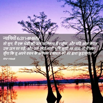 Picture 02 - न्यायियों 6:37 HINIRV - तो सुन, मैं एक - Bible Verse Picture