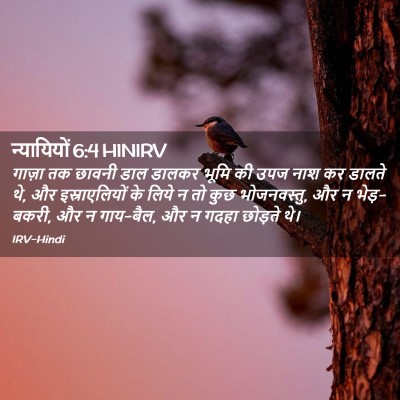Picture 02 - न्यायियों 6:4 HINIRV - गाज़ा तक छावनी डाल - Bible Verse Picture