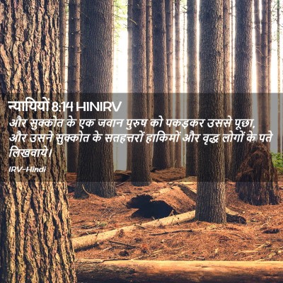 Picture 02 - न्यायियों 8:14 HINIRV - और सुक्कोत के एक - Bible Verse Picture