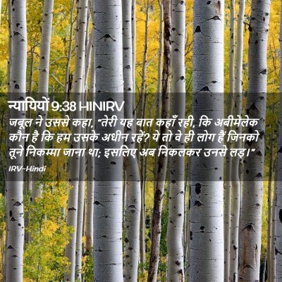 Picture 02 - न्यायियों 9:38 HINIRV - जबूल ने उससे कहा, - Bible Verse Picture
