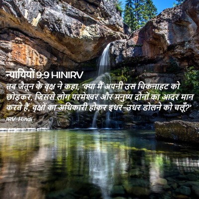 Picture 02 - न्यायियों 9:9 HINIRV - तब जैतून के वृक्ष - Bible Verse Picture