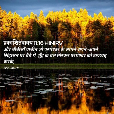 Picture 02 - प्रकाशितवाक्य 11:16 HINIRV - और चौबीसों - Bible Verse Picture