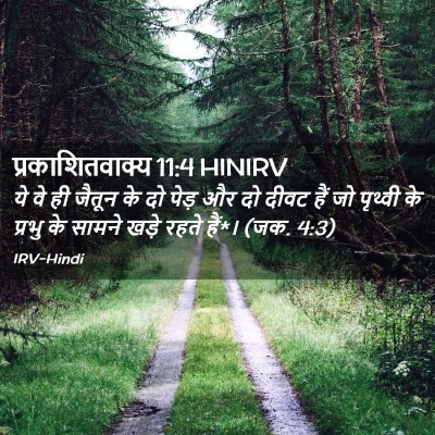 Picture 02 - प्रकाशितवाक्य 11:4 HINIRV - ये वे ही जैतून के - Bible Verse Picture