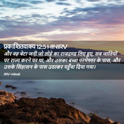 Picture 02 - प्रकाशितवाक्य 12:5 HINIRV - और वह बेटा जनी जो - Bible Verse Picture