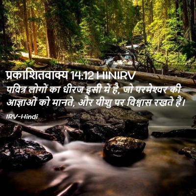 Picture 02 - प्रकाशितवाक्य 14:12 HINIRV - पवित्र लोगों का - Bible Verse Picture
