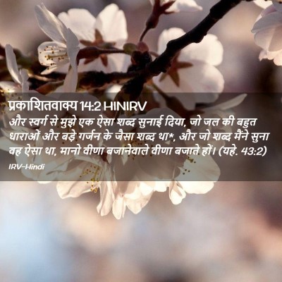 Picture 02 - प्रकाशितवाक्य 14:2 HINIRV - और स्वर्ग से मुझे - Bible Verse Picture