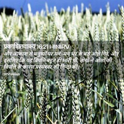 Picture 02 - प्रकाशितवाक्य 16:21 HINIRV - और आकाश से - Bible Verse Picture