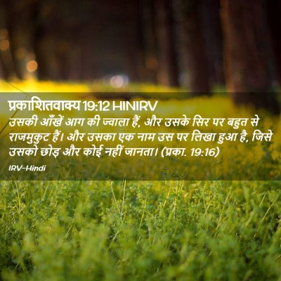 Picture 02 - प्रकाशितवाक्य 19:12 HINIRV - उसकी आँखें आग की - Bible Verse Picture